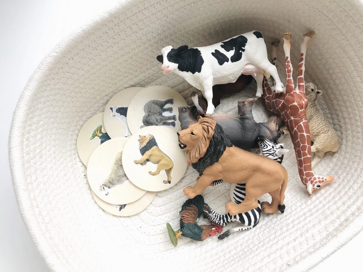 Animal Figurine Matching Activity