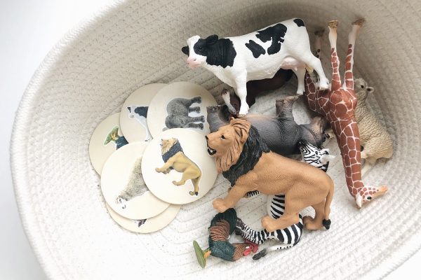 Animal Figurine Matching Activity